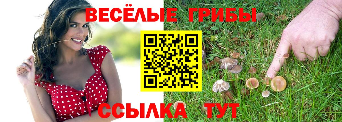 Галлюциногенные грибы MAGIC MUSHROOMS  Вход с VPN  Псилоцибиновые грибы Cubensis  Брянск 