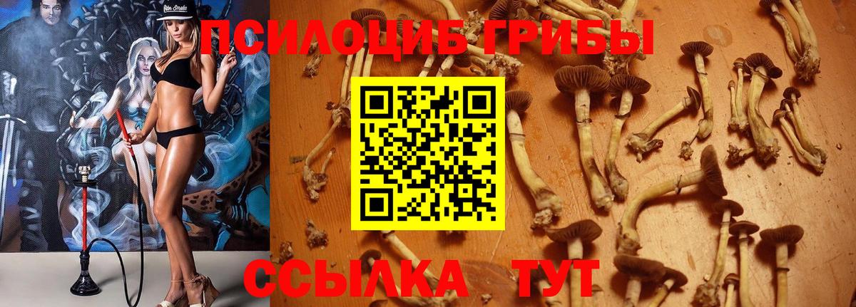 Галлюциногенные грибы MAGIC MUSHROOMS Брянск